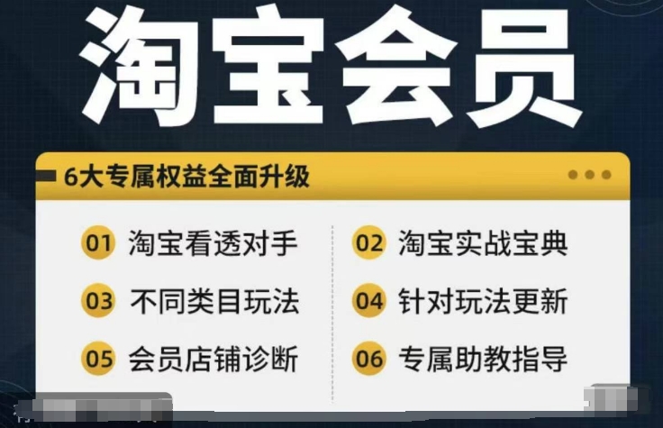 淘宝会员【淘宝所有课程，全面分析对手】，初级到高手全系实战宝典-沐风资源库