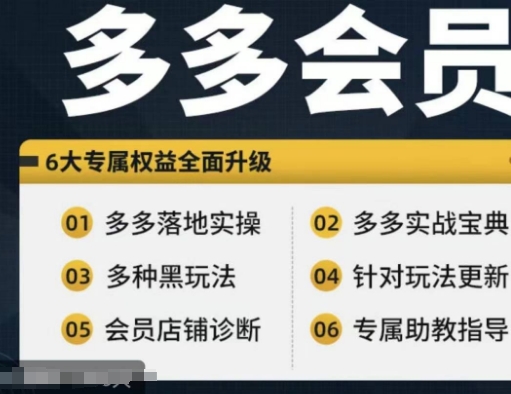 拼多多会员，拼多多实战宝典+实战落地实操，从新手到高阶内容全面覆盖-沐风资源库