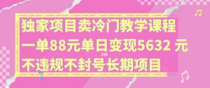 独家项目卖冷门教学课程一单88元单日变现5632元违规不封号长期项目【揭秘】-沐风资源库