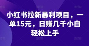小红书拉新暴利项目，一单15元，日赚几千小白轻松上手【揭秘】-沐风资源库