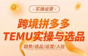 跨境拼多多TEMU实操与选品，多多temu跨境选品运营实操-沐风资源库