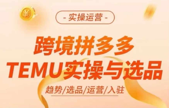 跨境拼多多TEMU实操与选品，多多temu跨境选品运营实操-沐风资源库