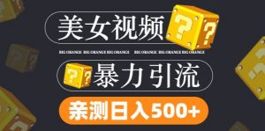 搬运tk美女视频全网分发，日引s粉300+，轻松变现，不限流量不封号【揭秘】-沐风资源库