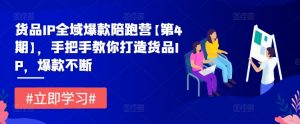 货品IP全域爆款陪跑营【第4期】，手把手教你打造货品IP，爆款不断-沐风资源库