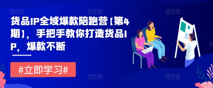 货品IP全域爆款陪跑营【第4期】，手把手教你打造货品IP，爆款不断-沐风资源库