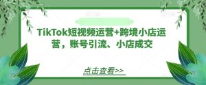 TikTok短视频运营+跨境小店运营，账号引流、小店成交-沐风资源库