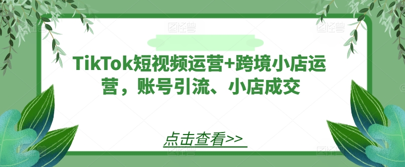 TikTok短视频运营+跨境小店运营，账号引流、小店成交-沐风资源库