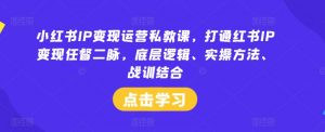 小红书IP变现运营私教课，打通红书IP变现任督二脉，底层逻辑、实操方法、战训结合-沐风资源库