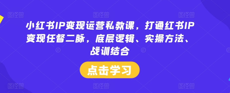 小红书IP变现运营私教课，打通红书IP变现任督二脉，底层逻辑、实操方法、战训结合-沐风资源库
