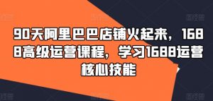 90天阿里巴巴店铺火起来，1688高级运营课程，学习1688运营核心技能-沐风资源库