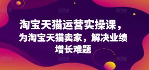 淘宝天猫运营实操课，为淘宝天猫卖家，解决业绩增长难题-沐风资源库