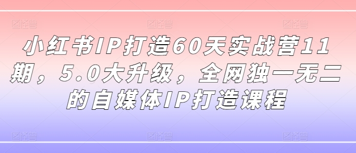 小红书IP打造60天实战营11期，5.0大升级，全网独一无二的自媒体IP打造课程-沐风资源库