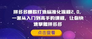 拼多多爆款打造标准化流程2.0，一套从入门到高手的课程，让你快速掌握拼多多-沐风资源库