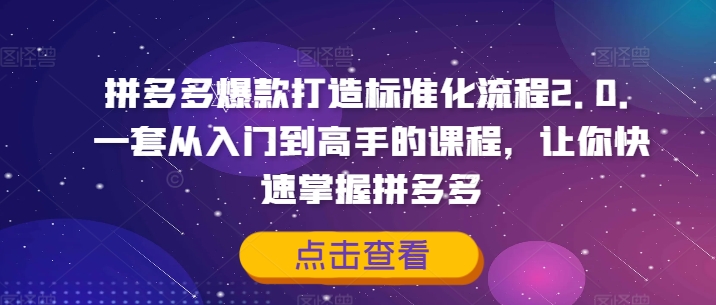 拼多多爆款打造标准化流程2.0，一套从入门到高手的课程，让你快速掌握拼多多-沐风资源库