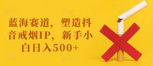 蓝海赛道，塑造抖音戒烟IP，新手小白日入500+【揭秘】-沐风资源库