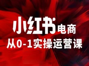 小红书电商从0-1实操运营课，让你从小白到精英-沐风资源库