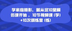学家庭摄影，就从这10堂模仿课开始 ，10节视频课(学)+10次训练营(练)-沐风资源库