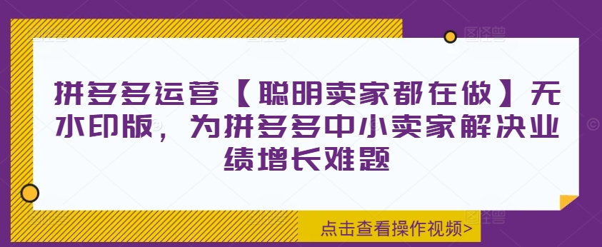 拼多多运营【聪明卖家都在做】无水印版，为拼多多中小卖家解决业绩增长难题-沐风资源库