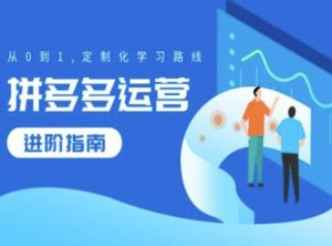 拼多多运营进阶指南，从0到1定制化学习路线-沐风资源库