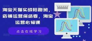 淘宝天猫实战陪跑班，店铺运营终结者，淘宝运营必修课-沐风资源库