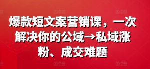 爆款短文案营销课，一次解决你的公域→私域涨粉、成交难题-沐风资源库