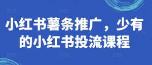 小红书薯条推广，少有的小红书投流课程-沐风资源库