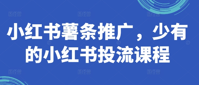 小红书薯条推广，少有的小红书投流课程-沐风资源库