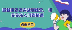 最新拼多多实战训练营， 拼多多从入门到精通-沐风资源库