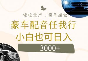 不为人知的暴力小项目，豪车配音，日入几张【揭秘】-沐风资源库