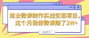 商业微课制作实战变现项目，这个月我做微课赚了2W+-沐风资源库
