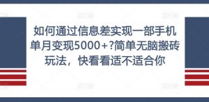 如何通过信息差实现一部手机单月变现5000+?简单无脑搬砖玩法，快看看适不适合你【揭秘】-沐风资源库