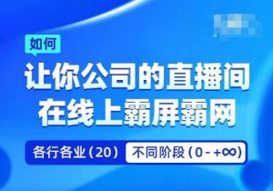 企业矩阵直播霸屏实操课，让你公司的直播间在线上霸屏霸网-沐风资源库