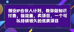 创业IP合伙人计划，教你做知识付费，做流量，卖项目，一个可以持续很久的优质项目-沐风资源库
