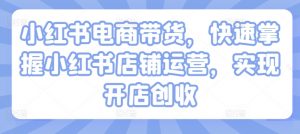 小红书电商带货,快速掌握小红书店铺运营,实现开店创收-沐风资源库