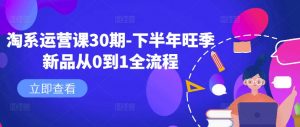 淘系运营课30期-下半年旺季新品从0到1全流程-沐风资源库