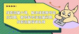 线索流量大课，解决线索账号定位问题，新号起号没流量问题，线索流量导进私域-沐风资源库