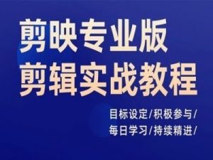 剪映专业版剪辑实战教程，目标设定/积极参与/每日学习/持续精进-沐风资源库