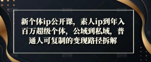 新个体ip公开课，素人ip到年入百万超级个体，公域到私域，普通人可复制的变现路径拆解-沐风资源库