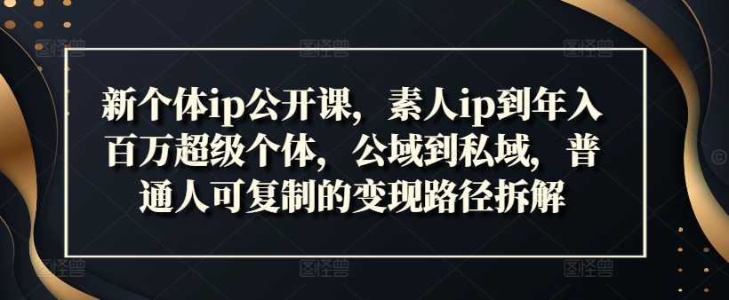 新个体ip公开课，素人ip到年入百万超级个体，公域到私域，普通人可复制的变现路径拆解-沐风资源库