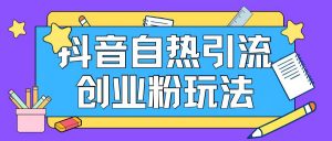 抖音引流创业粉自热玩法日引200+精准粉-沐风资源库