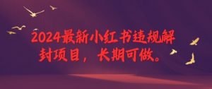 2024最新小红书违规解封项目，长期可做，一个可以做到退休的项目【揭秘】-沐风资源库