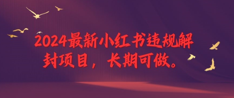 2024最新小红书违规解封项目，长期可做，一个可以做到退休的项目【揭秘】-沐风资源库
