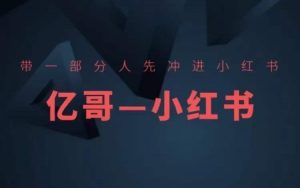​​带一部分人先冲进小红书，小红书开店、选品、爆款裂变-沐风资源库