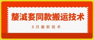 抖音96万粉丝账号【嫠㵄㚣】同款搬运技术-沐风资源库