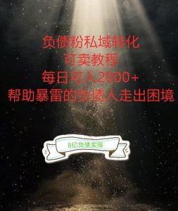 负债粉掘金计划,帮助负债者解决问题,债务规划,债务重组,最好的变现方式【揭秘】-沐风资源库
