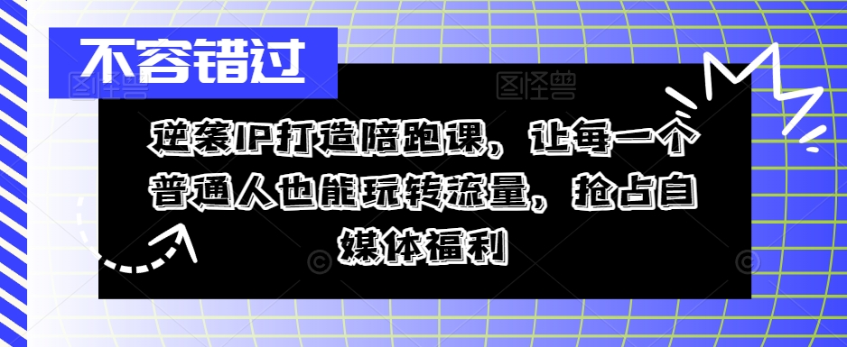 逆袭IP打造陪跑课，让每一个普通人也能玩转流量，抢占自媒体福利-沐风资源库