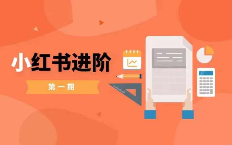 小红书进阶篇，零基础小白实战课，普通人变现的课程-沐风资源库