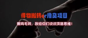得物搬砖撸货项目?掰下数据，我给你们说说顶层思维【揭秘】-沐风资源库