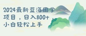国学项目，长期蓝海可矩阵，从0-1的过程【揭秘】-沐风资源库