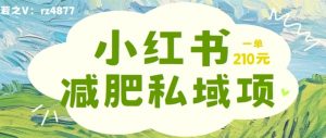 小红书减肥粉，私域变现项目，一单就达210元，小白也能轻松上手【揭秘】-沐风资源库